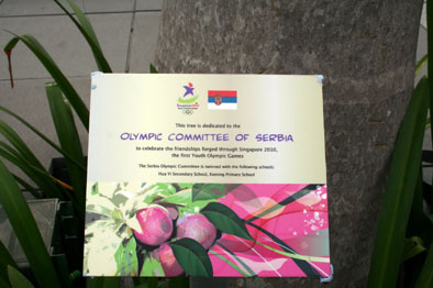 Drvo posveceno sportistima Srbije i OKS-u